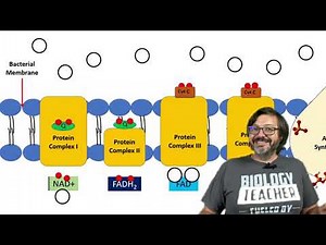 Energy in Living Things: Not Auras, but the Capacity to Do Work