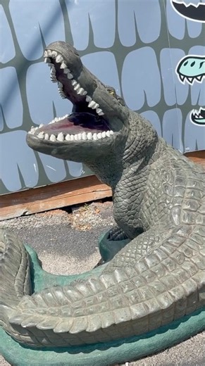 Swamp Tour in Louisiana 🐊 #Louisiana #SwampTour #Travel