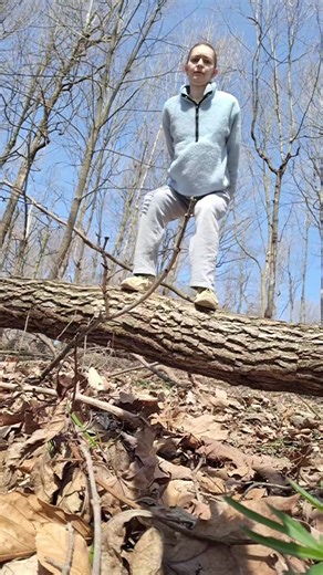 The wind knocked down 6 trees at our house last night lol #funny #fyp #fypシ゚viral #tree