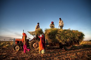 Blockchain Firm Partners With Indian Government to Boost Earnings for Farmers