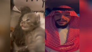 Muhammad Sumbul | Know Your Meme