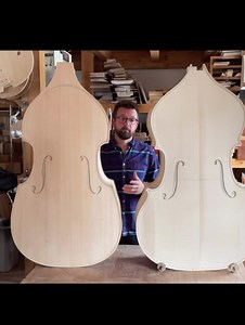 Gamba corners vs Violin corners. | Upton Bass String Instrument Co.