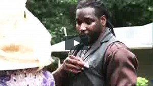 The Tree Widow feature film