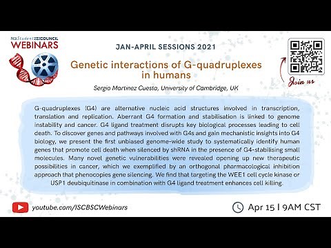 Genetic interactions of G-quadruplexes in humans