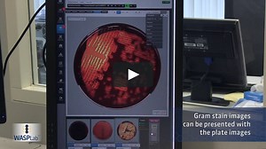 COPAN WASP-FLO, WASP, WASPLab, Colibri for Total Lab Automation