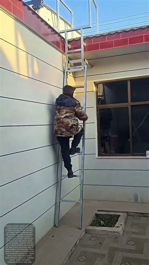 Space - Saving Steel: How Collapsible Ladders Redefine Rural Mobility