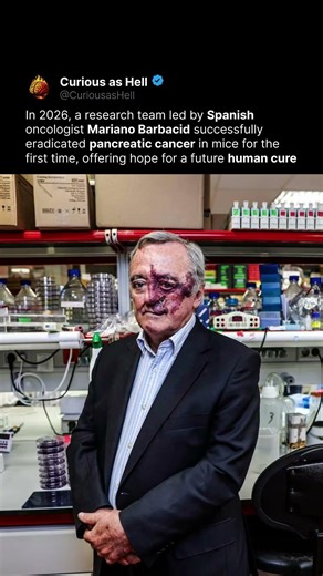 Pancreatic Cancer Erased in Mice 🧪