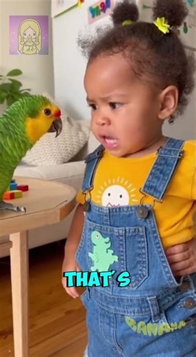 Angry Baby vs. Confused Parrot