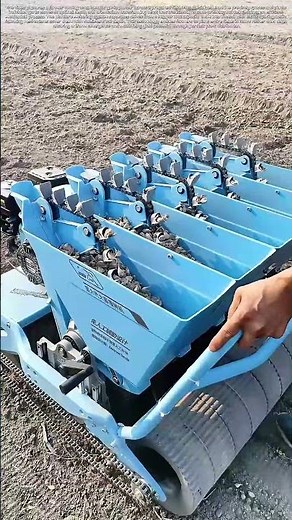 Garlic Planting Automated: How a Single Machine Revolutionizes Bulb Spacing