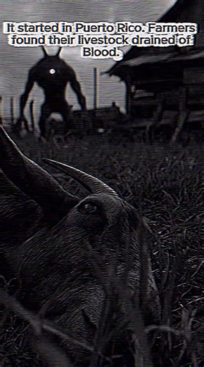 The legend of the Chupacabra began in the 90s and spread across the Americas. Is it a crypt, an alien, or a government experiment. #horror #horrortok #scary #creepy #legend