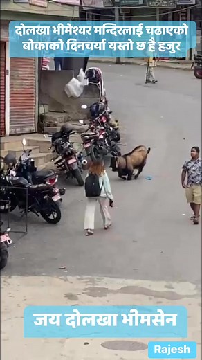 163K views · 6.9K reactions | जय दोलखा भीमसेन #fbreelsfypシ゚viralvideo#fbfollow#dolakha#jayavemsen#charikor | Rajesh Thapa | Facebook