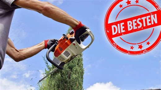 Die besten Akku-Heckenscheren – effektive Geräte gibt es auch in günstig