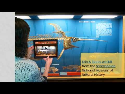 DrupalCon Vienna 2017: Breaking Drupal out of the box with AR and beacons