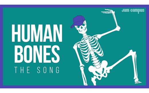 THE HUMAN BONES SONG ｜ Science Music Video