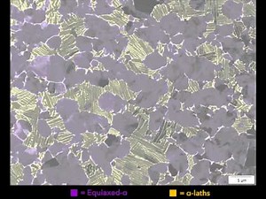 MIPAR's Advanced Segmentation Capabilities