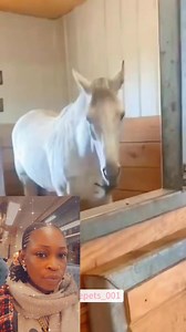 I do not have copyright to this video.🤣🤣🤣🤣🤣🤣🤣 | Rebecca Godwin