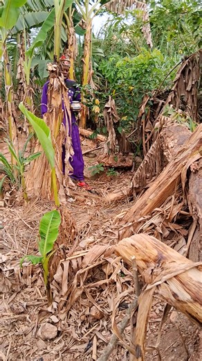 Voice Effects Trend: A New Wave of Humor