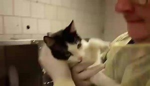 53 reactions · 37 shares | URGENT! PUDDLE - #A131298 *Came in with...