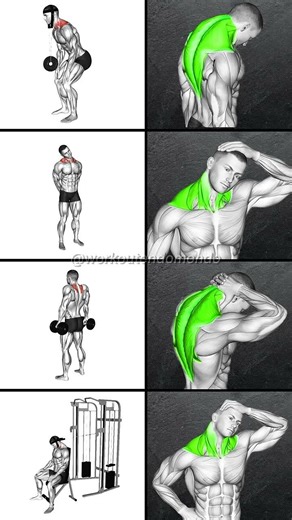 Build a STRONGER Neck: Best Workouts for Muscle Growth!