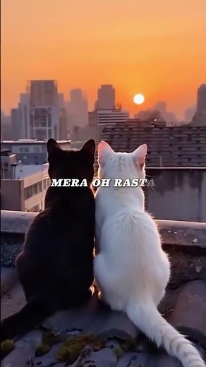 SAFAR (Official Video) Juss x MixSingh 🥰😍 ilove reels