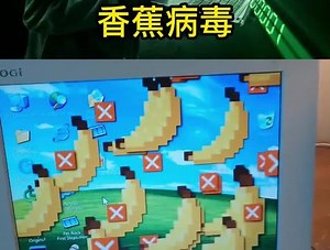 比熊猫烧香更有趣的病毒你见过吗 #编程 #代码 #代码 #互联网 #黑客 #程序员 #熊猫烧香