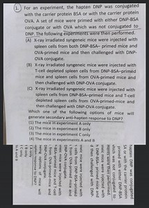 For an experiment, the hapten DNP was conjugated with the carri... | Filo