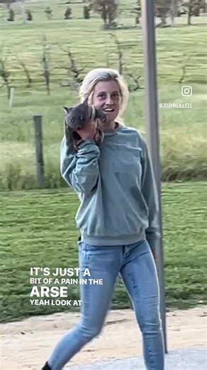 Meet Australia's Crazy Wombat Lady | Funny Wildlife Encounters