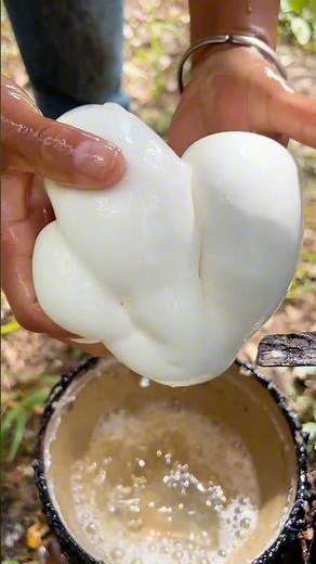 This Tree Bleeds White Liquid! 😳 (How Rubber Is Made)