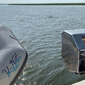 My favorite part of cruising??? Dolphins!!! What a great way to start the day. | Technomadia