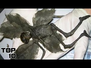 Top 10 Dark Urban Legends Of Celtic Folklore