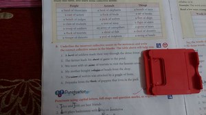 Underline the incorrect collective nouns in the sentences and w... | Filo