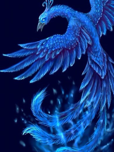 Discovering the Mystique of Blue Phoenix