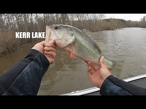 Early Spring Bass Fishing on Kerr Lake