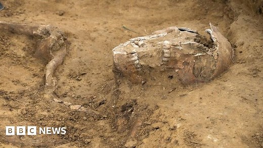 Battle of Waterloo skeletons uncovered in Belgium