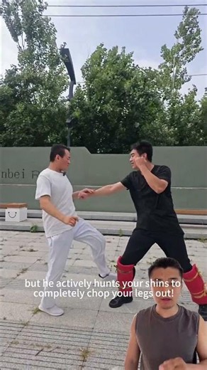 He can kick anywhere, but he actively hunts your shins to completely chop your legs out!#fighting
