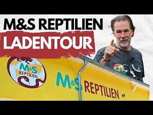 Unvarnished & real: A typical workday at M&S ​​Reptiles 🦎