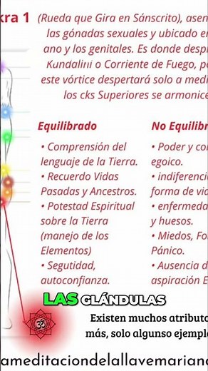Los Chakras y su Función en el Cuerpo Energético