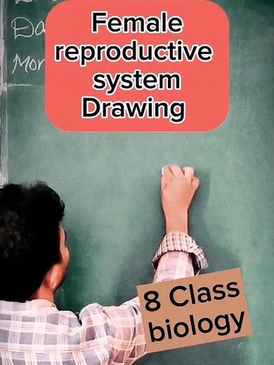 Female reproductive system drawing for 8 class biology| #bpl schools