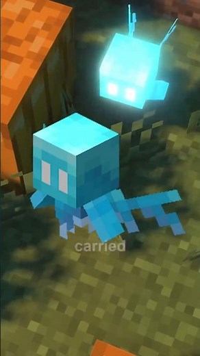 He is " WISP "