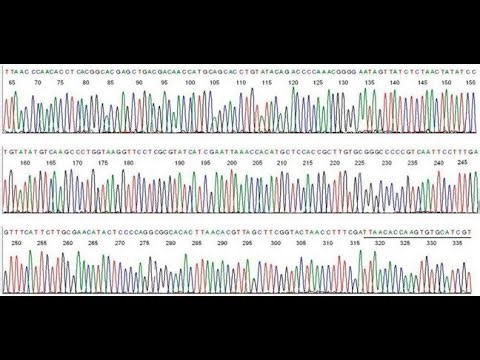 Sanger's DNA Chromatogram Interpretation