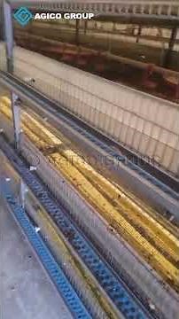 Poultry Feeding Equipment Guide: From Basic Feeders to Automated Systems