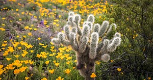 It’s the first day of spring: Here’s what that really means