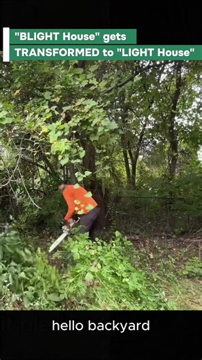 Cleaning Up a Backyard with Poison Ivy Precautions