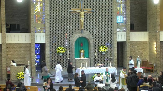 Mass • Misa | St. Anthony of Padua Catholic Church, Falls Church, VA