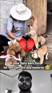Please love this dog 💔🥺😭 #emotional #sad #dog #missing #respect #cry #kindness #emotinaldog #shorts
