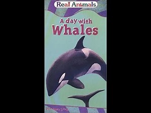 KidVision's Real Animals: A Day with Whales