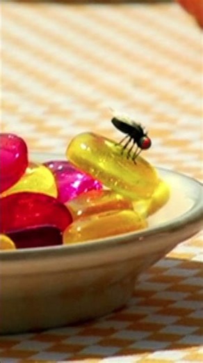 The Last Supper | Minuscule