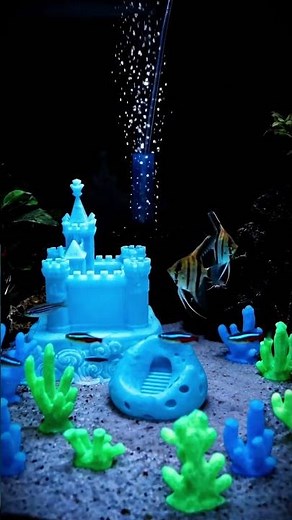 eSUN PETG-Luminous 3D printing Glow in Dark Aquarium Decor #filament #3dprinting #esun
