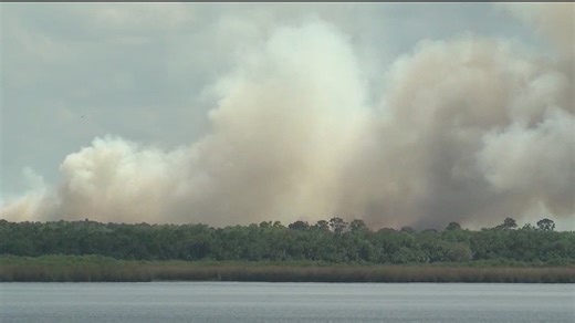 Mandatory burn ban in effect for some Central Florida counties amid dry spell