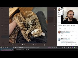 Crust of Rust: The Drop Check